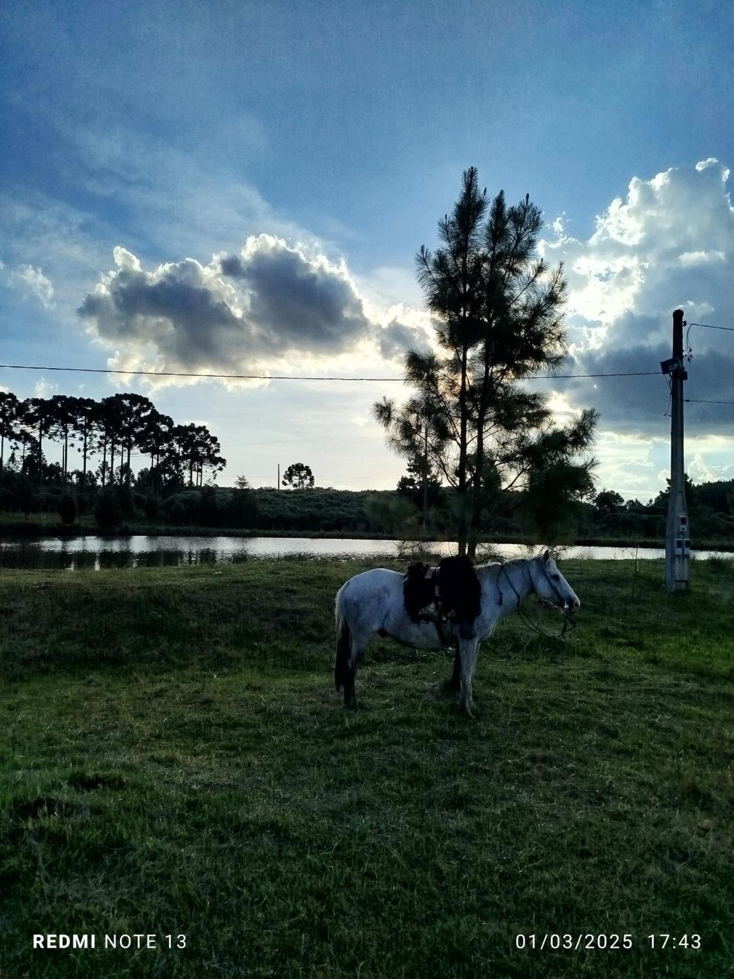 Encanto Das Araucarias Cambará Dış mekan fotoğraf