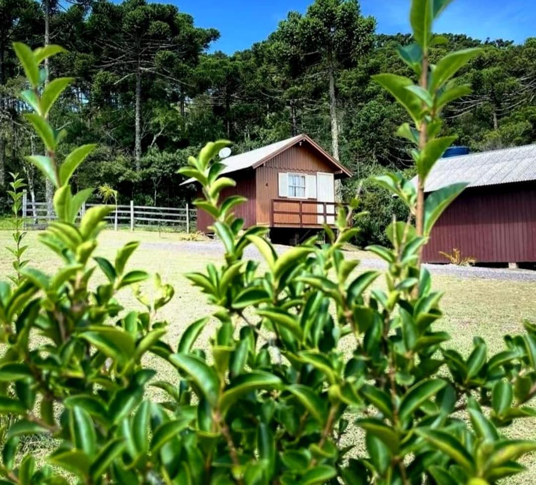 Encanto Das Araucarias Cambará Dış mekan fotoğraf